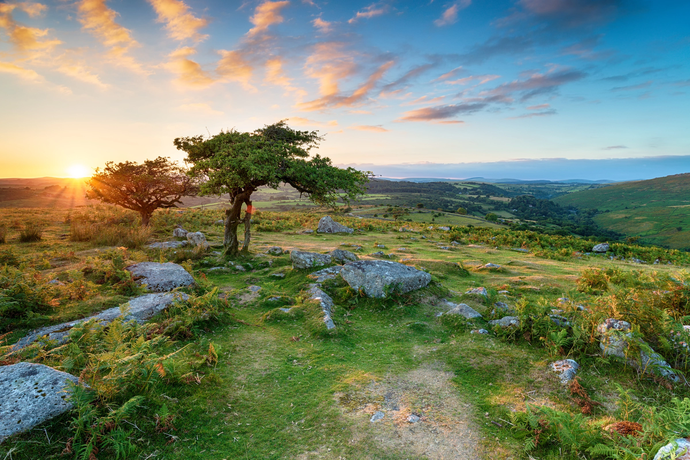 Dartmoor_National_Park[1].webp
